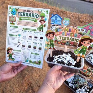 Dinâmica Meu Terrário - Especial Meio Ambiente